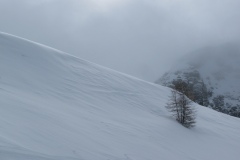 IMG_2764